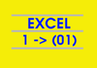format cell 1 into (01)